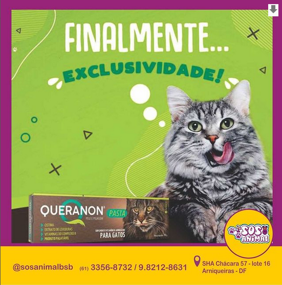 Post SOS Animal
